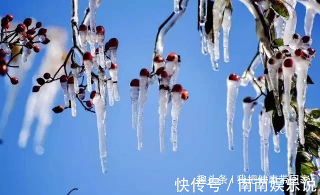 阳气|“百病从寒起,寒从脚底生”,告诉你冬天怎么增加体内阳气!