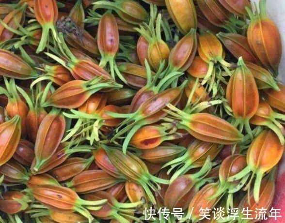 近视|女性常吃此物,不贫血,没白发,不近视,抗衰老,好处多多