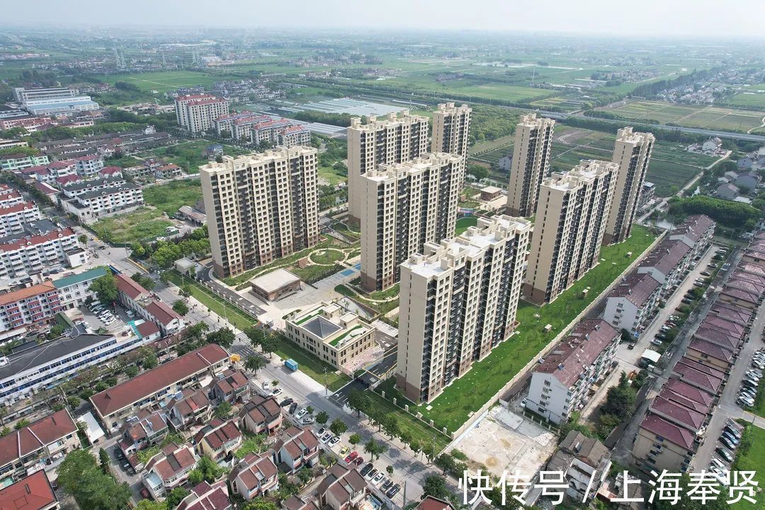 地区|预计年内交房！金汇镇泰日地区这个动迁安置项目先睹为快！