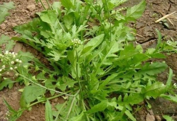 小技巧|近视还要长时间玩手机?记住三点小技巧,降低近视家中的可能!