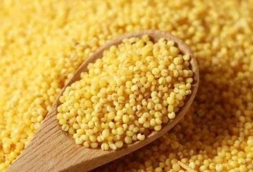 小米味|煮粥时别放这种食物了,对身体没有好处,还可能致癌,早知早健康