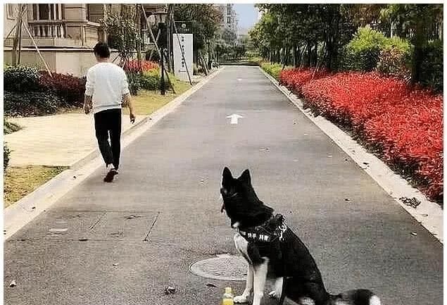 熊孩子|“把孩子送到老家住了一周，再次见面时都不敢认了，还能要吗？”哈哈哈