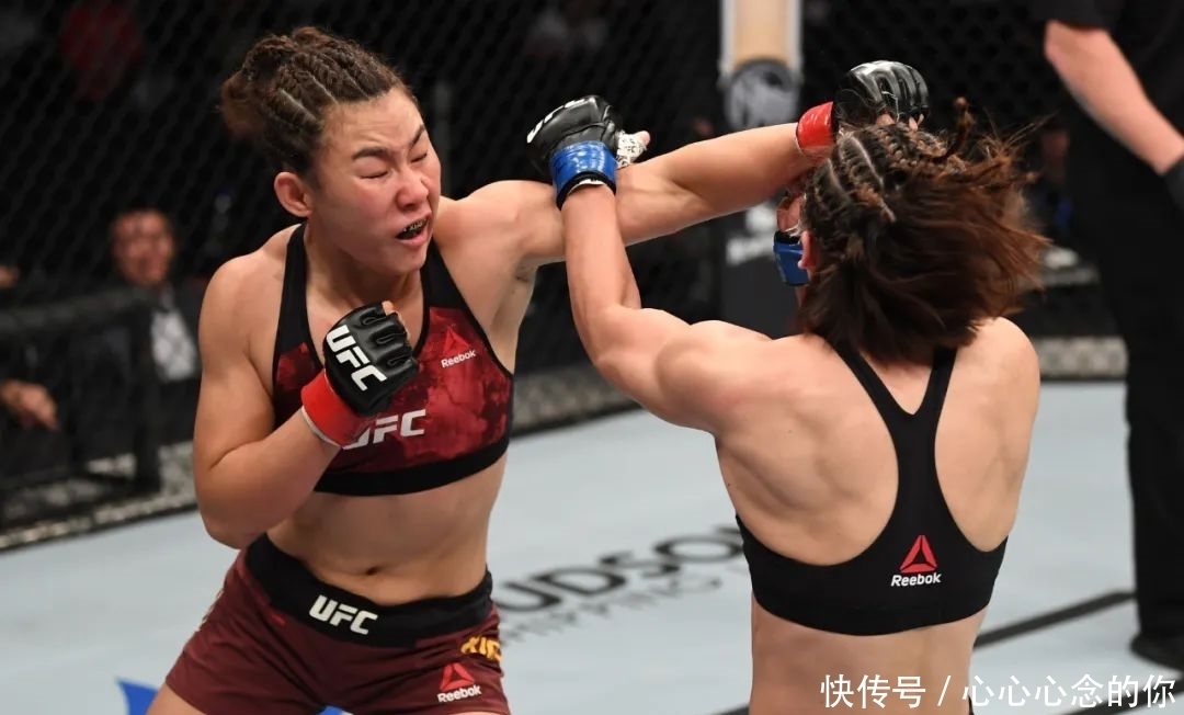 f1赛车车队介绍阿美车队概况世界综合格斗赛事排名ufc综合格斗比赛直播