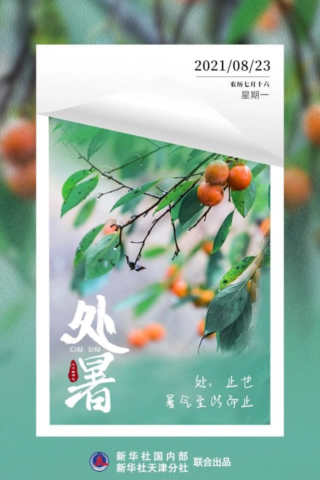 天马|23日“处暑”，天马上凉快喽！