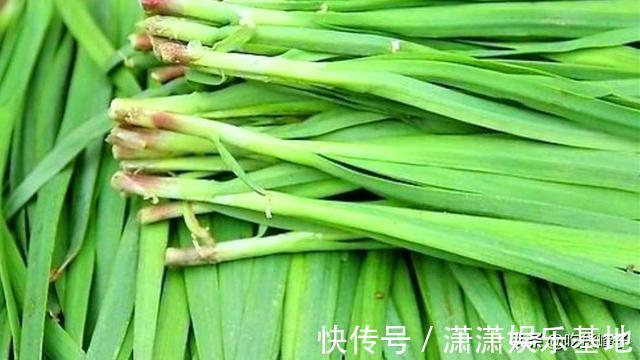 根部|买韭菜不是越粗越好，牢记“3买3不买”，过年包饺子别再买错了