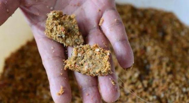 黑坑|钓鱼选饵并不难,带上这几种饵料,去哪儿钓鱼都有效!