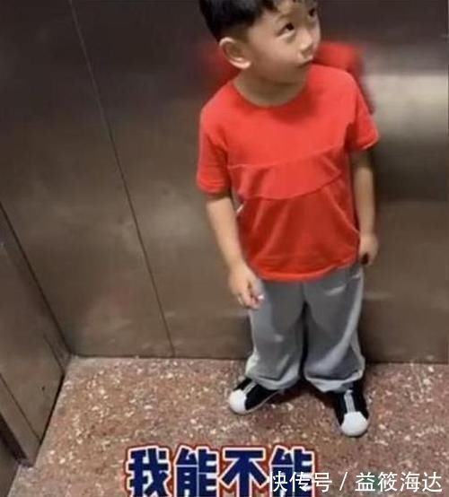 阿姨|阿姨我能摸下这个狗狗吗女叫姐姐,萌娃改口后笑翻众网友