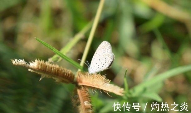 上门|一周以后，爱难自弃，桃花上门，三大生肖好运将至