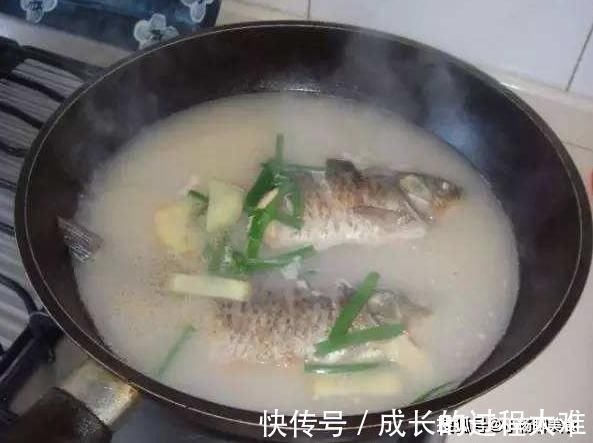 鱼肉|鱼汤怎么炖才白？大厨：只要不加它，汤白味浓还不腥