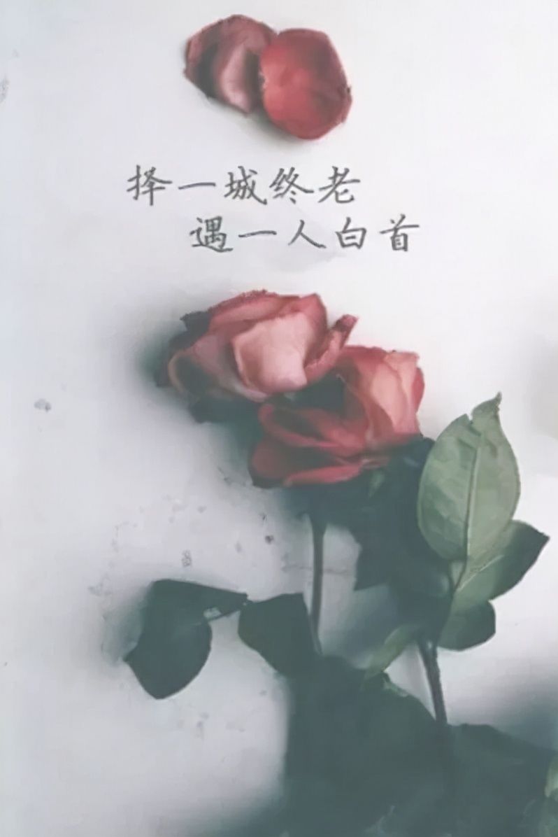 林父$富家女林淑华执意要嫁穷小子，林父发怒大骂：养你不如一条狗