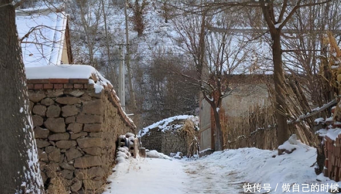 农村俗语“一九一场雪,猪狗不吃黑”是啥意思?老话有道理吗?