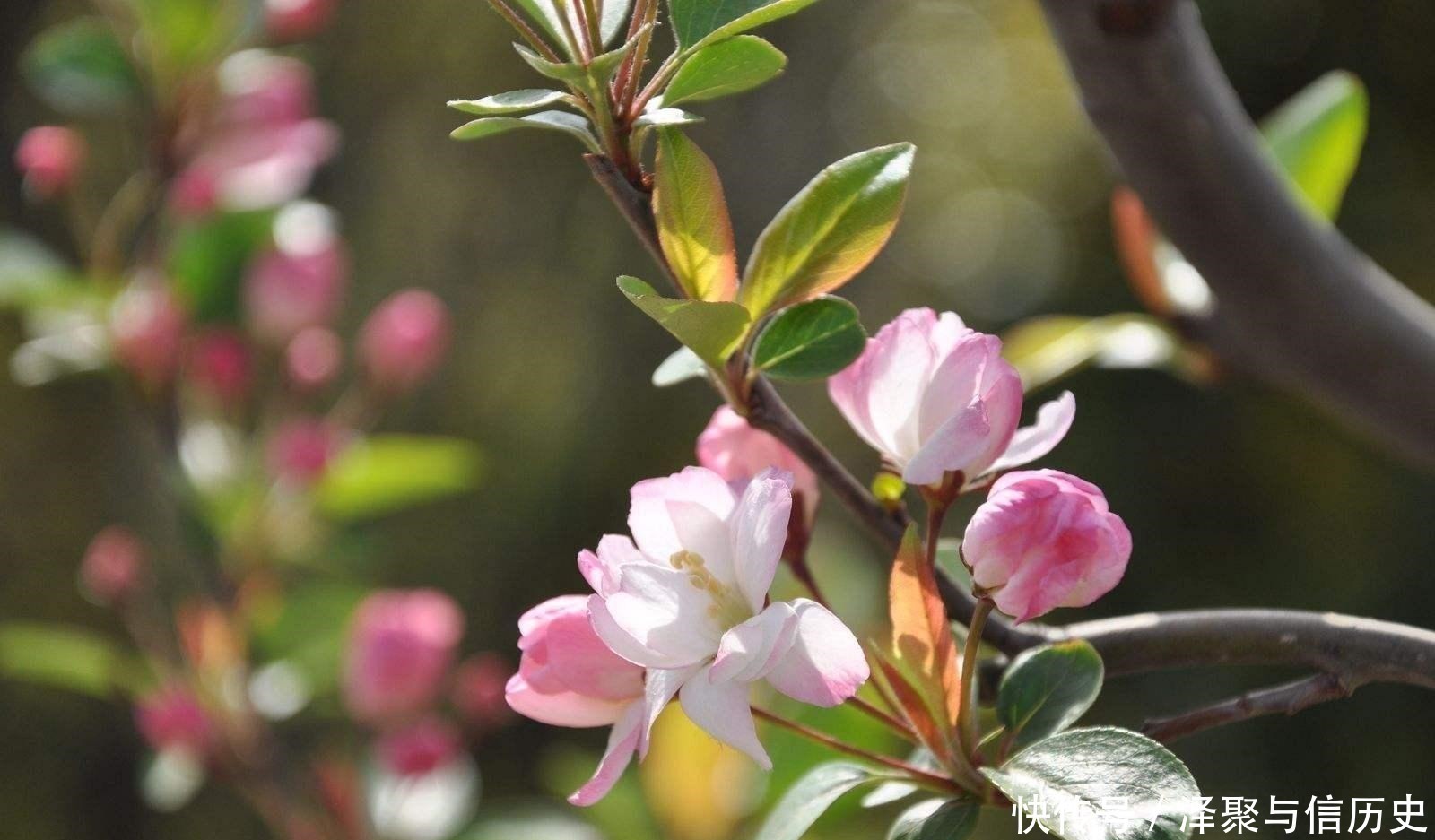 醉翁亭记|欧阳修最经典的一首词,900多年来惊艳了世人,更是无人能出其右