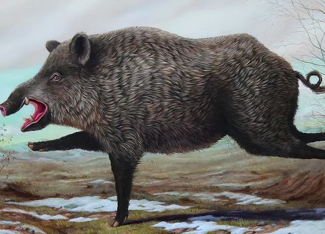 动物们&胆小谨点,插画师笔下的诡异动物看完一秒清醒!