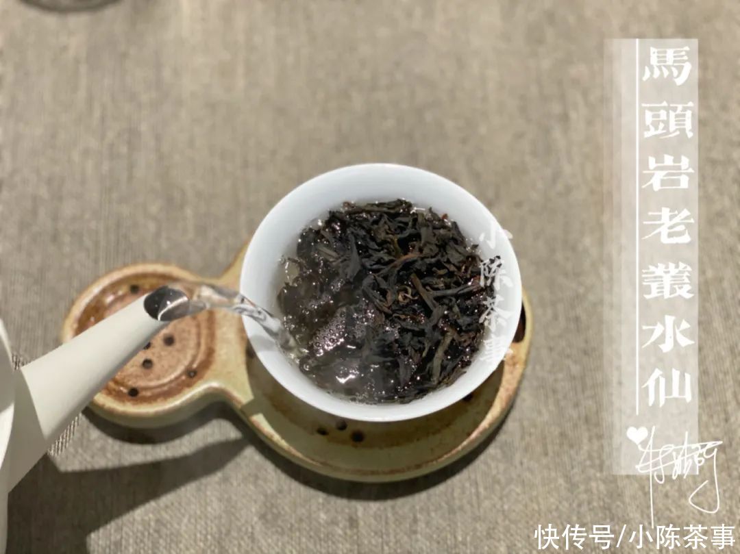 凤凰茶|凤凰单丛、凤凰水仙、岩茶水仙，从历史角度解读水仙茶叶的迁徙史