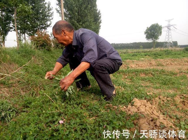 肝脏|85岁老村医：3种“硒食物”逮着吃，还你“婴儿肝”