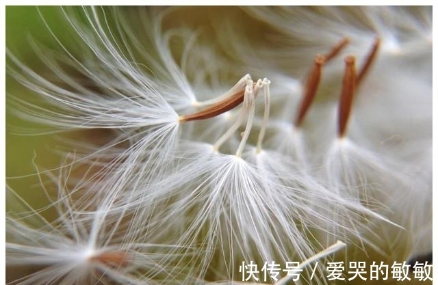 福运|12月桃花纷至沓来，年底顺利脱单的三大生肖，福运傍身