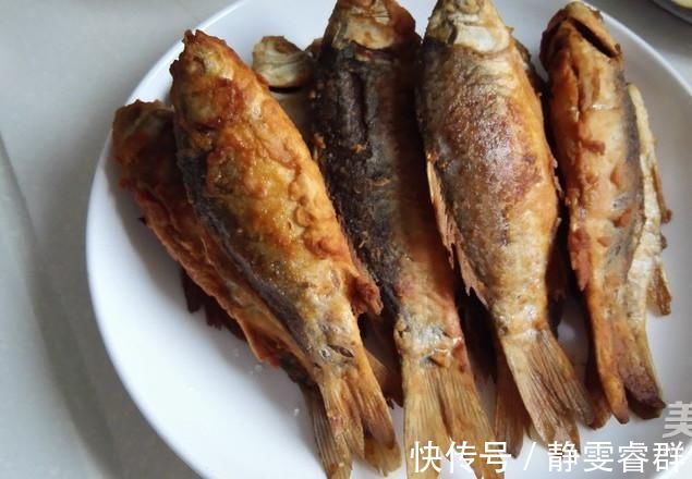 好吃|营养比甲鱼高，只能是它，红烧煲汤都好吃，5块一斤却无人问津