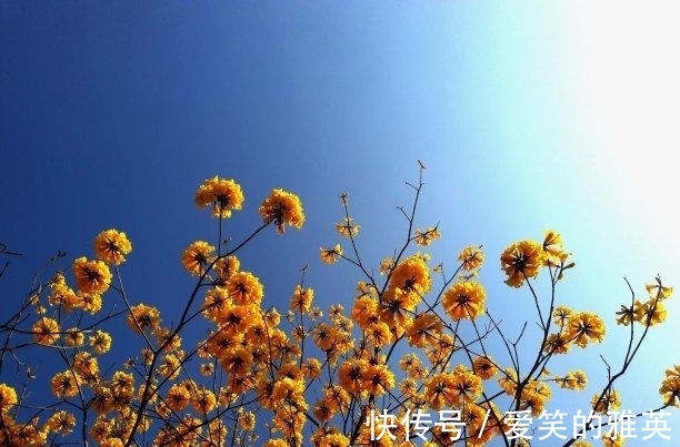 旧人|未来9天，相思入骨，勇者无畏，旧爱求情，旧人回头，一扫阴霾