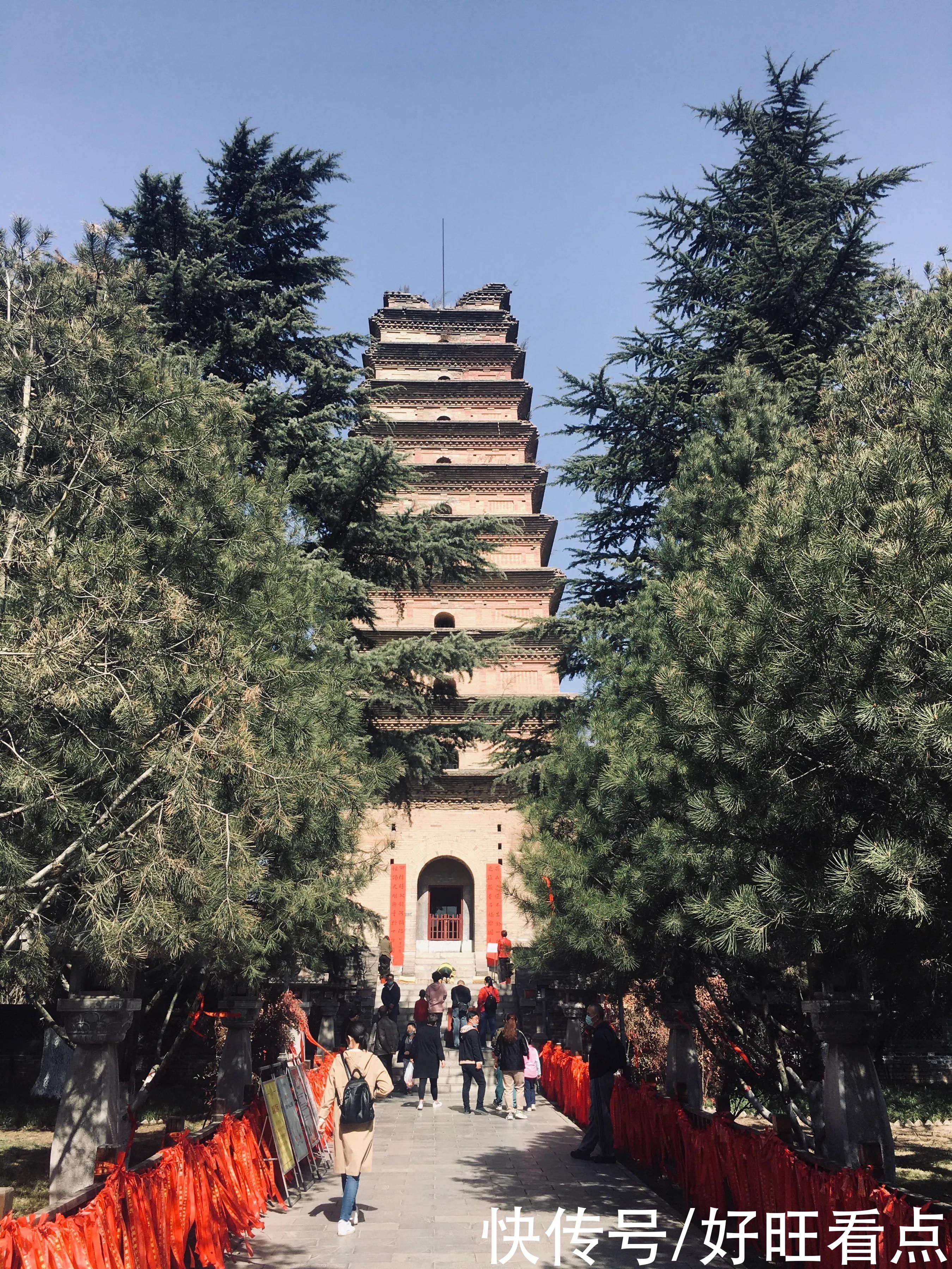 老年|古城西安香积寺：初春美景醉游人