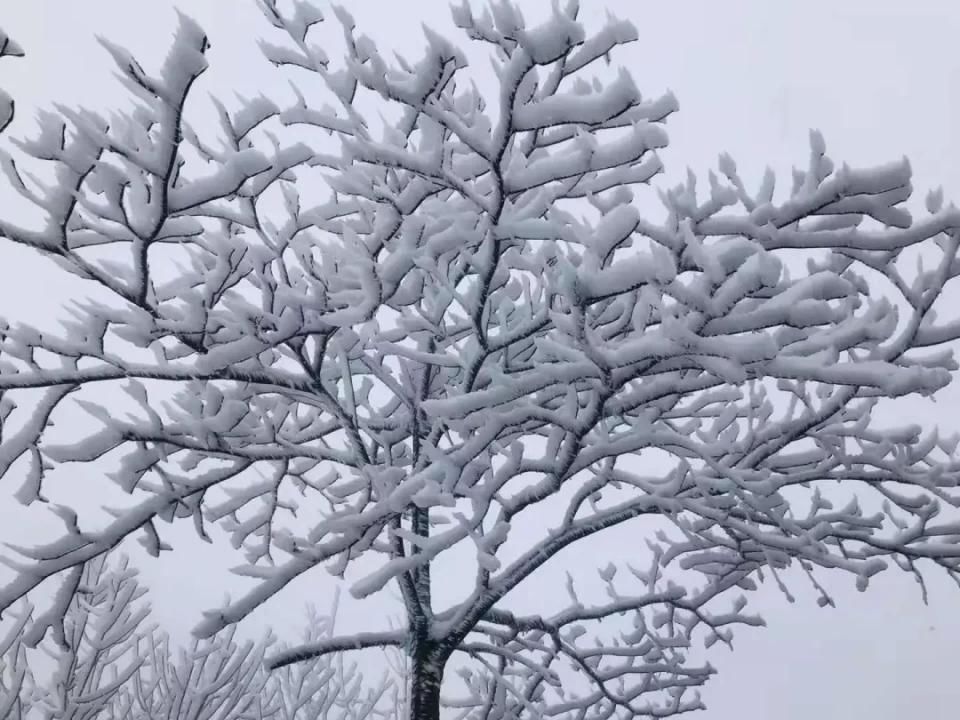 故乡|雪落故乡，让我更认识你——汶川!