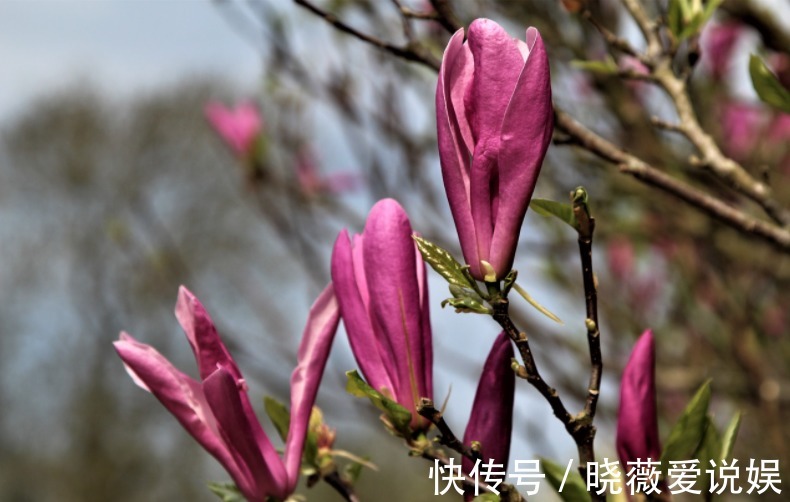 六悔铭|这篇传世奇文，全文仅42个字，说尽了人生六大悔事