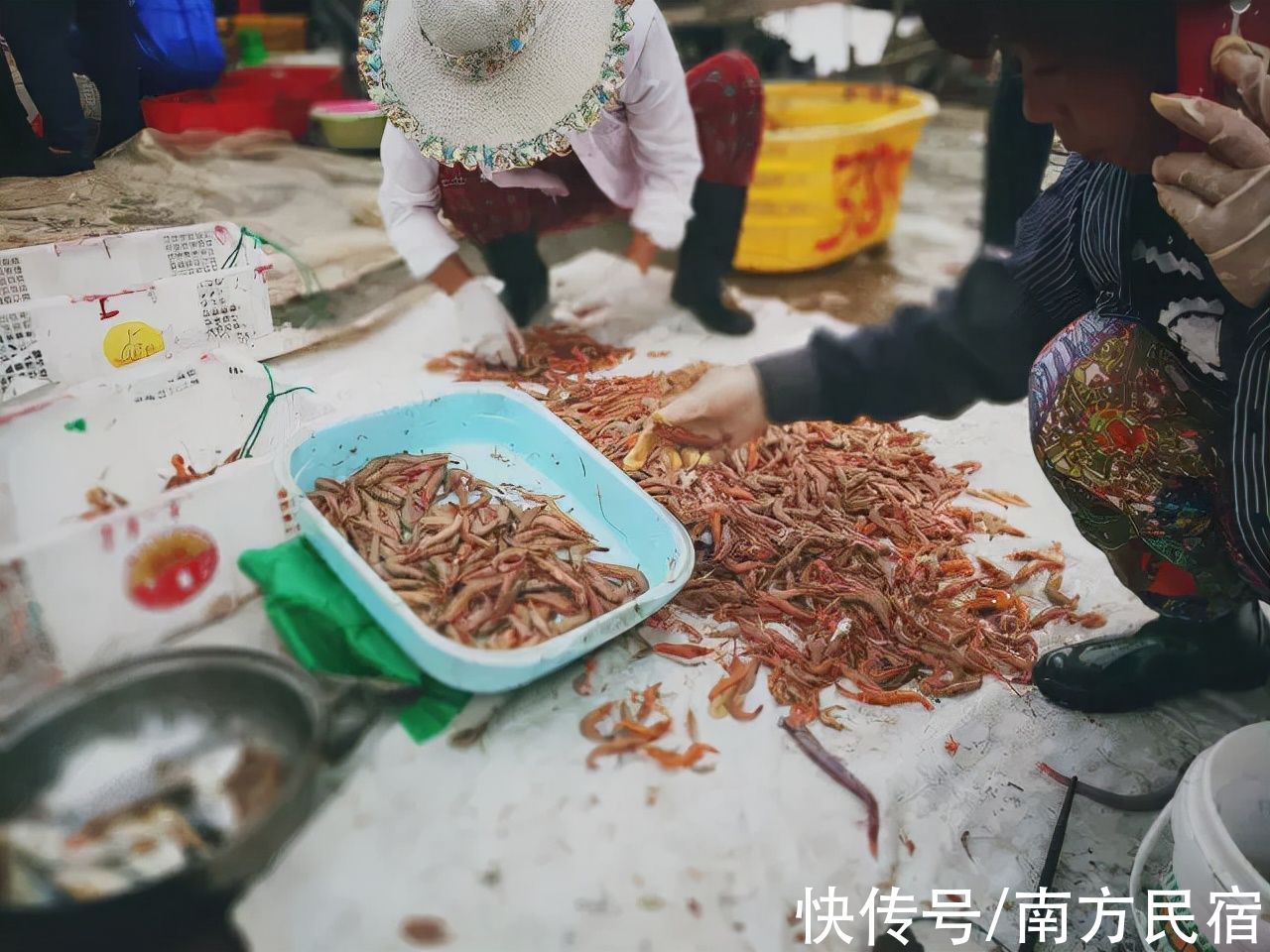 大海|温州洞头岛还有这样一座海山花园民宿，简直美翻！丨岩海山居