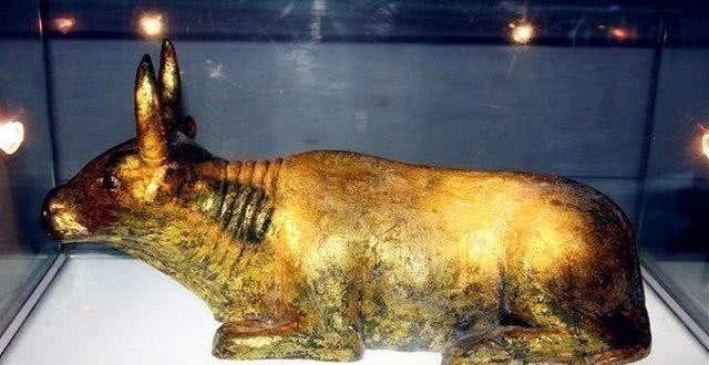 跪坐|西夏皇陵被盗空,专家考古时意外开启密室,发现一只金牛跪坐其中