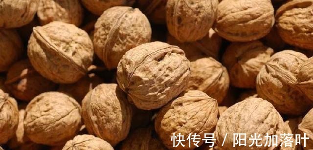 松脆酥香的商山核桃饼！