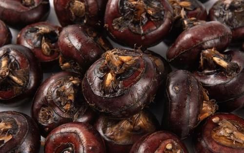 柿子|明日秋分，记得常吃“3果2菜1肉”，补充营养，健康饮食特重要