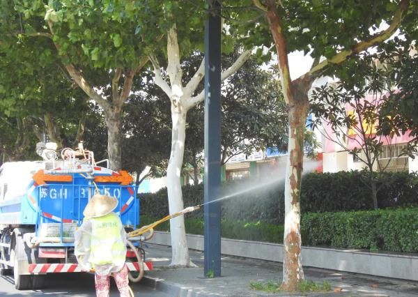 天津最新提醒：这种菜不能随便吃！|扩散 | qt:colorful,zzc,mass_adver_offline,wspuser_3beijing,nbbdpp_-10000,nbbscoreee_-10000,nbbstratest_1