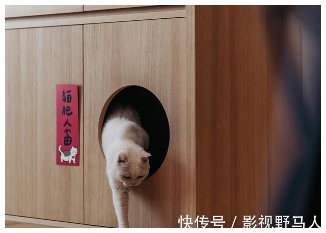 玄关|与猫咪一起度过美好时光!99㎡,原木系美宅,一进门就被迷住!