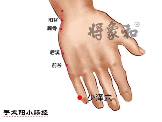 五输穴|六腑分布在指趾末端的六个井穴