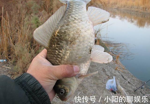 蓑笠哥|冬天找钓位三原则,符合就是鱼儿越冬之地