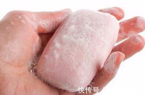 叶子|常用这些水浇花,让你的盆栽花朵艳丽、不生虫、叶子油绿宽又大!