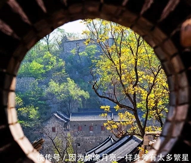 步行街|美翻!淄博还有这么一个“小而美”的地方,等你去发现!