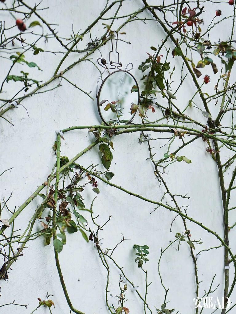  展览|“临时工”Jeremie盘活了1000岁的园林