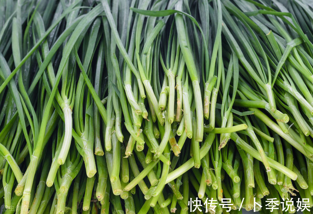 清水|韭菜用清水是洗不干净的,多放一样,快速去除农药残留,放心吃