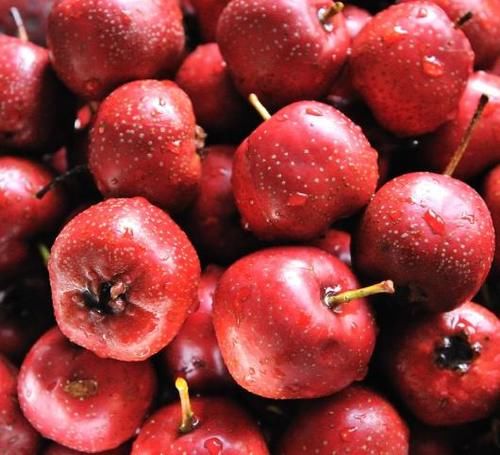  调料|炖牛肉，调料很重要！这2样不能少，无需高压锅，30分钟炖软烂！