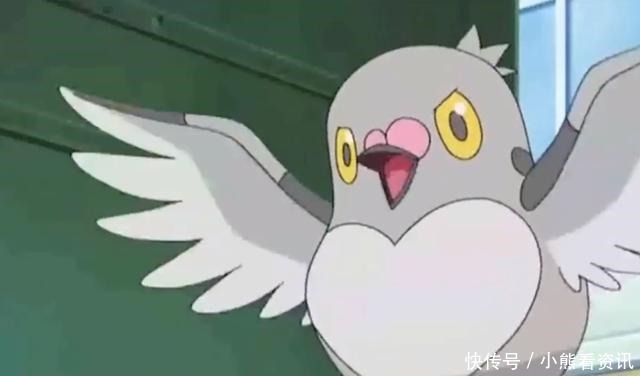 地区的家门|神奇宝贝种族值最低的十种飞行系宝可梦,小智大部分都有