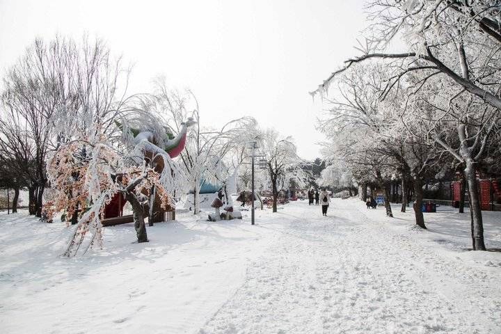 跑马岭|齐鲁雪乡跑马岭雾凇、冰挂、漫山遍野的冰雪世界