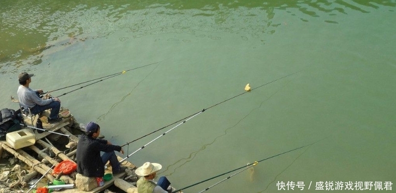 暮春钓白鲦,重点注意钓组和饵料的使用