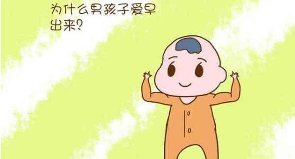 早产儿|为什么男宝宝爱提前出生“早生贵子”有没有道理