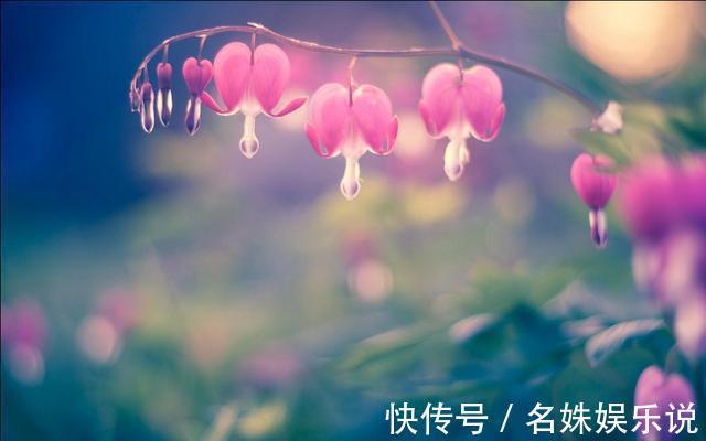 孩子|孩子,我不欠你的吃不吃读书苦,决定你以后靠脑子还是靠力气吃饭