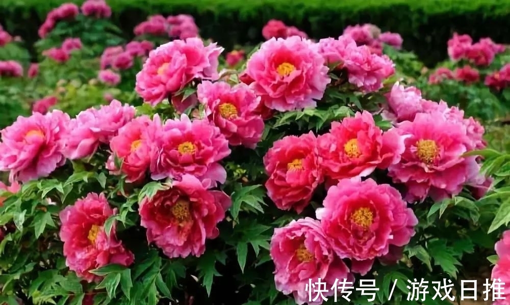 柳永!欧阳修高水平的10首诗词排行,《生查子 元夕》仅第二,第一是?