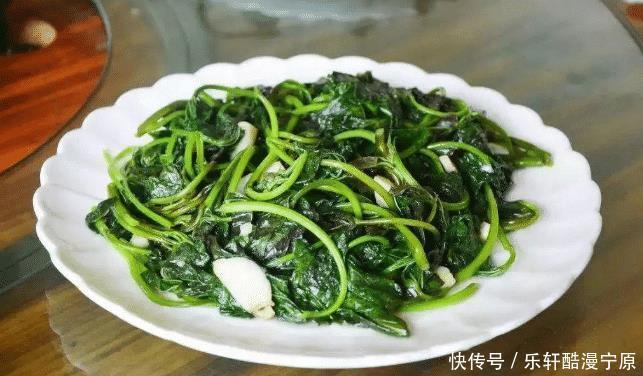 大魚大肉|夏天，多吃這個菜，營養高常吃好處多，簡單一炒，脆嫩爽口