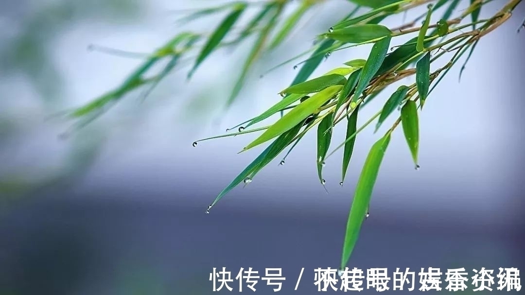 定风坡&苏轼最著名的一首《定风波》,全篇都是名句,读懂就是明白了人生