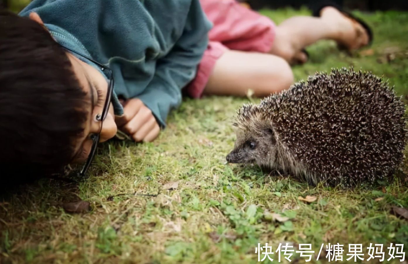 孩子|孩子的“大自然缺失症”悄悄蔓延，养娃过程中，勿忘与自然同行