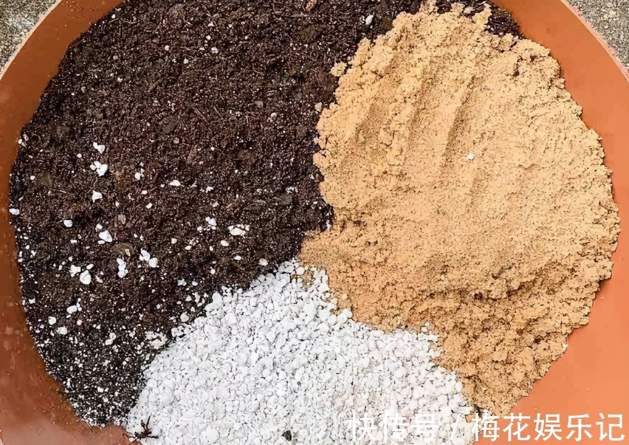 妙用|为什么说河沙养花厉害?因为有3大妙用!