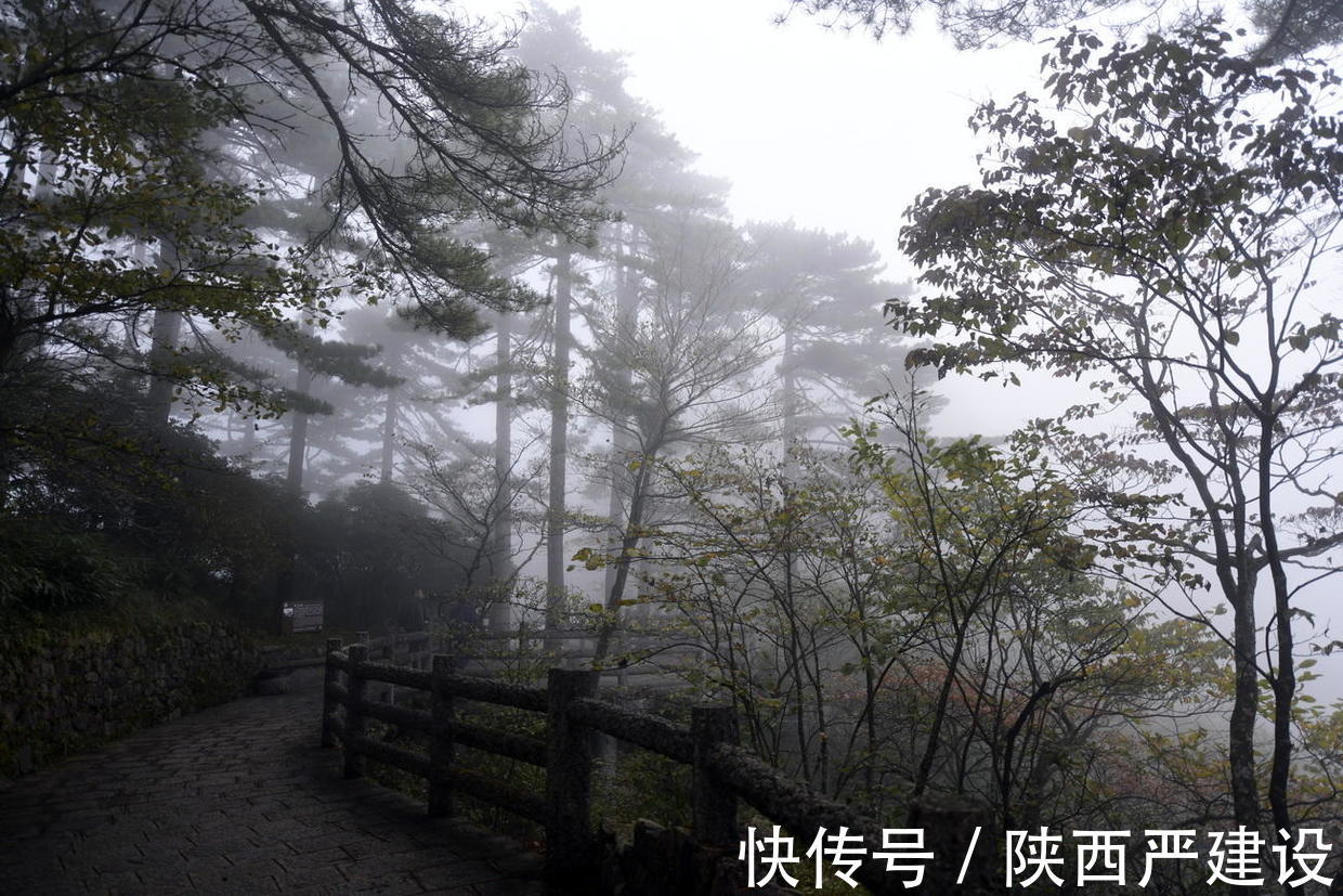 黄山|薄云浓雾游黄山宛若仙境【严建设】