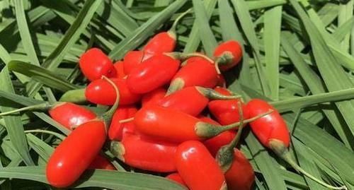 食物|女性推荐常吃3种食物,美容养生,改善体质,好吃又健康